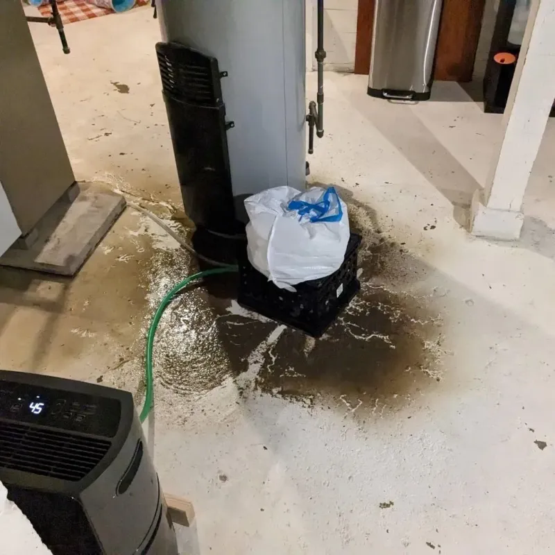 Sewage Backup Cleanup Service in Colfax, WA